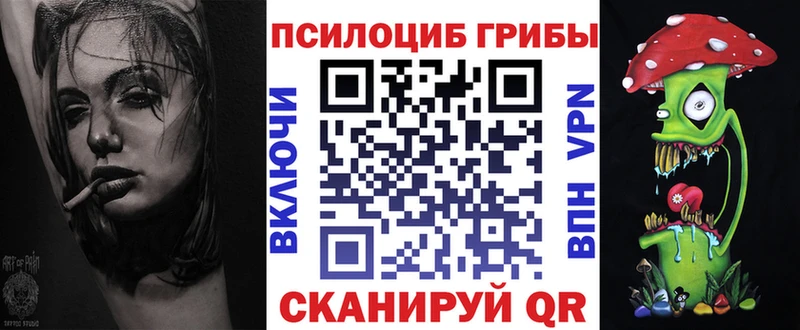 Купить где  Сурск  Галлюциногенные грибы мухоморы 
